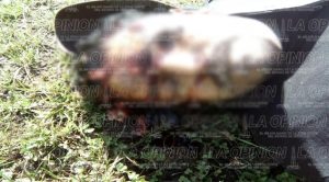 Hallan a 2 ejecutados en la comunidad de La Puga