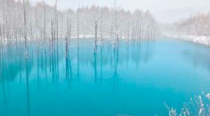 Galería de lagos congelados Lago Congelado