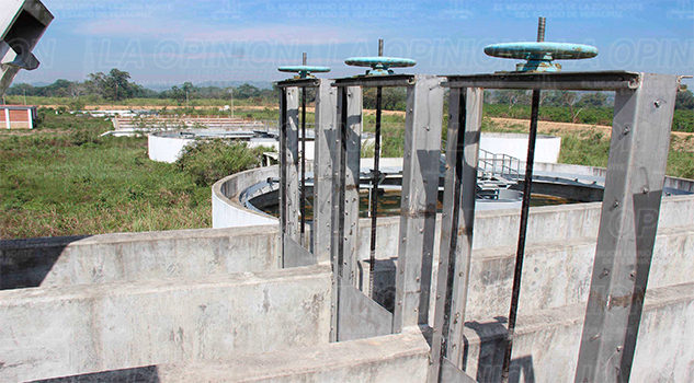 Olvidan 186 mdp entre la maleza Olvidan 186 mdp entre la maleza