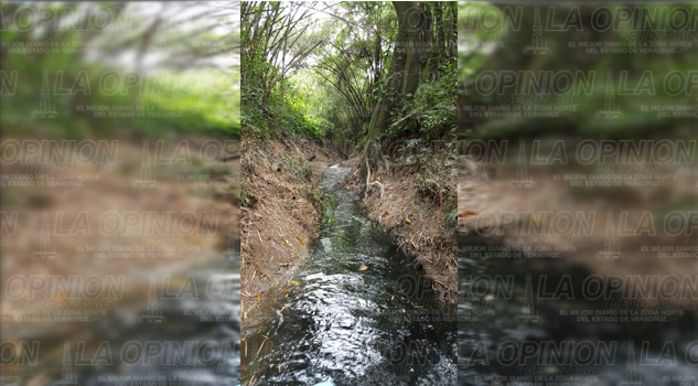 Por dañar laguna, 9 años de cárcel Por dañar laguna, 9 años de cárcel