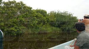 Por dañar laguna, 9 años de cárcel