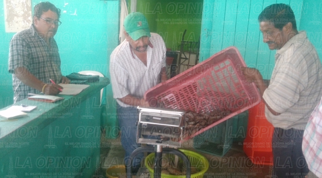 Regresa pesca de camarón Regresa pesca de camarón