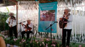 Culmina la tradicional huapangueda en Tepetzintla. Tepetzintla Festival Huapango