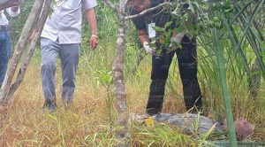 Hallan cadáver en Chichimantla 2 Tihuatlán Chichimantla 2 Cadáver Hombre