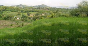 Dañan vestigios milenarios en Noqhla