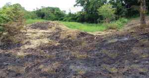 Dañan vestigios milenarios en Noqhla