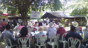 Ganaderos norveracruzanos afectados por abigeos