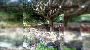 Se deprimía porque era diabético y decidió ahorcarse