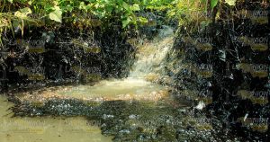 Arroyos contaminados por chapo arroyo-contaminadoOK