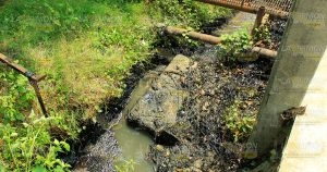 Arroyos contaminados por chapo