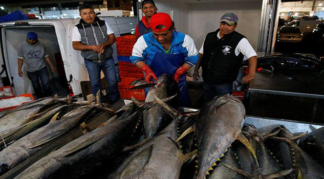 México demora en represalias a EU por el fallo de OMC en atún