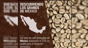 La llegada del café a México café méxico
