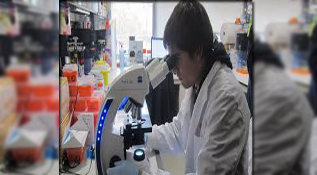 Surge un nuevo tratamiento contra el cáncer cancer