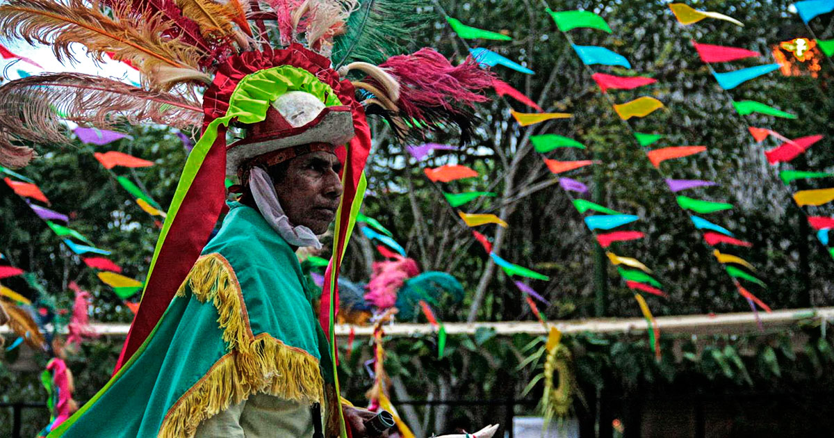 5° encuentro de danzantes del totonacapan danzantes