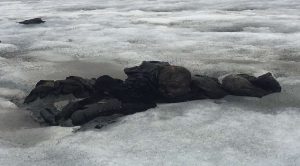 Hallan congelado a matrimonio perdido en 1942