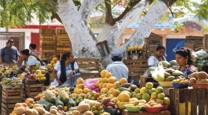 4 mercados de México para disfrutar con los cinco sentidos