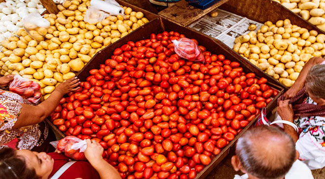 mercado merida