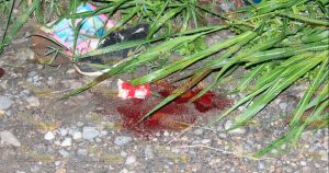 Dejó morir sólo a su amigo y horas después falleció él Dejó morir sólo a su amigo y horas después falleció él