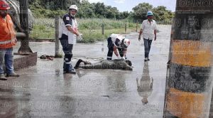 Obrero cae y sufre múltiples fracturas