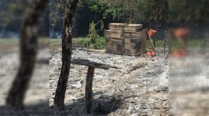 Ebrio casi mata a su madre, que se encontraba dentro de la casa