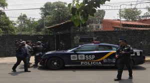 Perros Pitbull atacan a niña y la matan