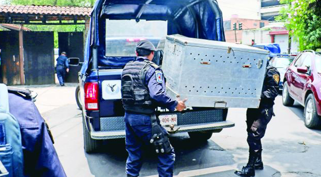 En libertad, el dueño de pitbull que mató a niña