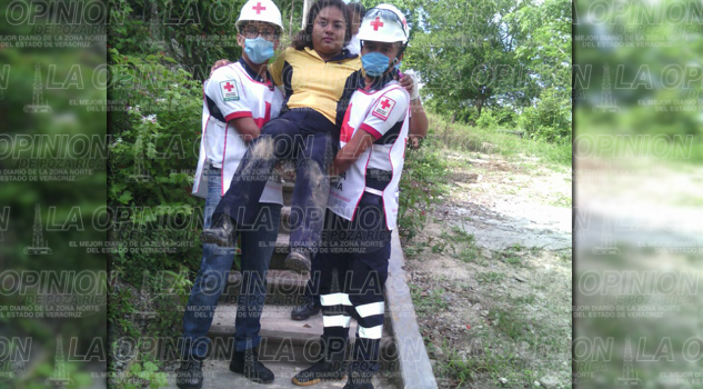 Promotora es atacada por perros callejeros promotora atacada