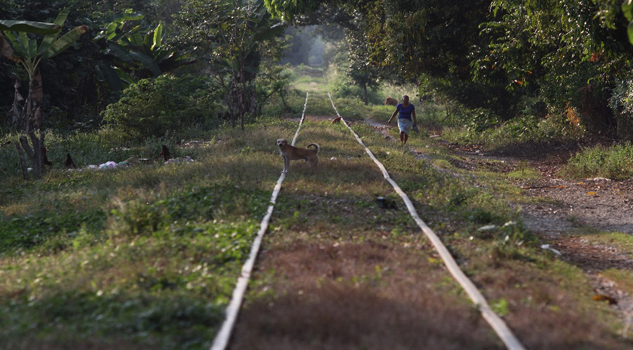 Migrante muere arrollado por tren en Chiapas