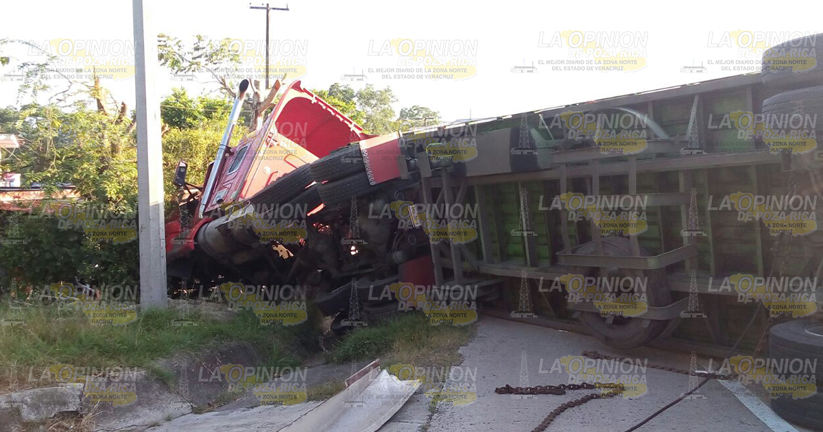 Tráiler vuelca y tira 40 de Trigo Tráiler cargado con aproximadamente