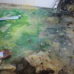 En el abandono, viejas instalaciones del ISSSTE Instalaciones ISSSTE Abandono