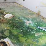 En el abandono, viejas instalaciones del ISSSTE Instalaciones ISSSTE Abandono