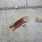 En el abandono, viejas instalaciones del ISSSTE Instalaciones ISSSTE Abandono