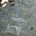 En el abandono, viejas instalaciones del ISSSTE Instalaciones ISSSTE Abandono