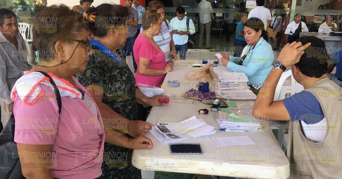 Más adultos mayores se beneficiarán con el programa 65 y más A partir del próximo bimestre se