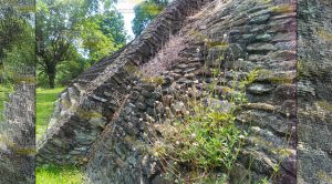 Sin recursos para mantenimiento