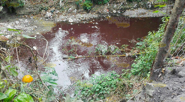 Se quejan del rastro ARROYOCONTAMINADO