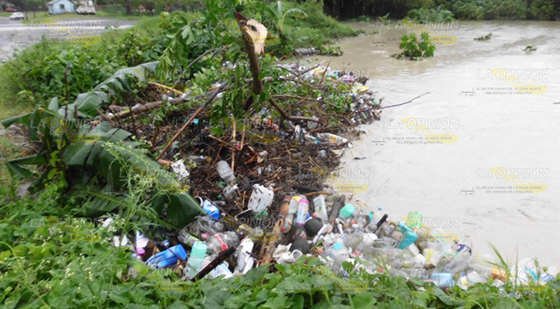 Basura acumulada, provoca tapones en el cause del arroyo Basura Acumulada Tapones Arroyo