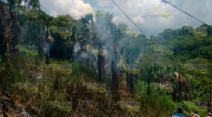 Se sale de control quema de basura Quema Basura Sale Control