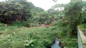 Buscan prevenir alguna inundación