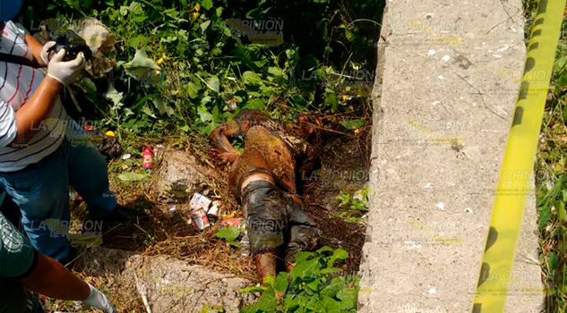 ¡EJECUTADO EN COMEJÉN! Comején Ejecutado