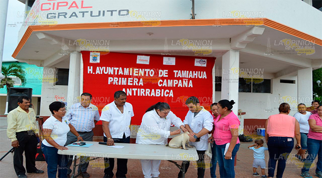 Concientizan en cuidado de mascotas Concientizan en cuidado de mascotas