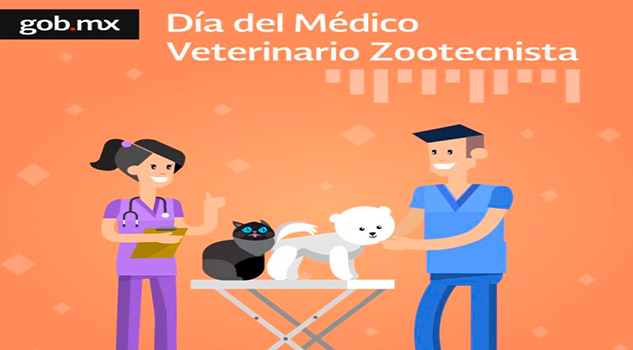 Día del Médico Veterinario DHTxdJcV0AAxZQG
