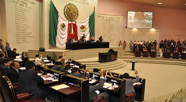 Defienden derechos de los animales Defienden derechos de los animales