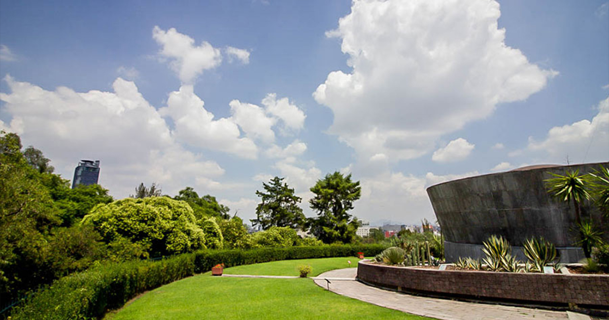 El jardín de azotea del Museo del Caracol recupera su fisonomía EL JARDÍN DE AZOTEA DEL