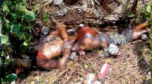 ¡EJECUTADO EN COMEJÉN! Comején Ejecutado