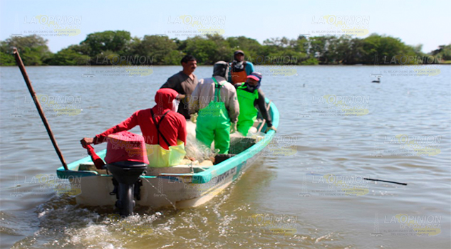 En la Laguna de Tamiahua En la Laguna de Tamiahua