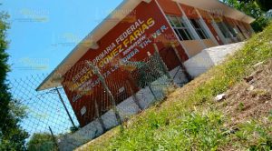 Evacuan primaria por ataque de abejas Tihuatlán Evacuan Primaria Ataque Abejas