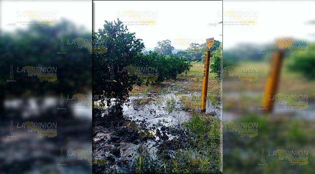 Fuga de crudo arrasa cultivos Fuga de crudo