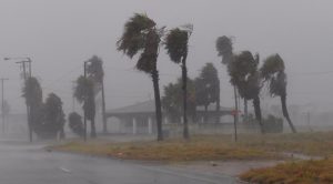 Así se encuentra Harvey en estos momentos