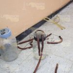 En el abandono, viejas instalaciones del ISSSTE Instalaciones ISSSTE Abandono